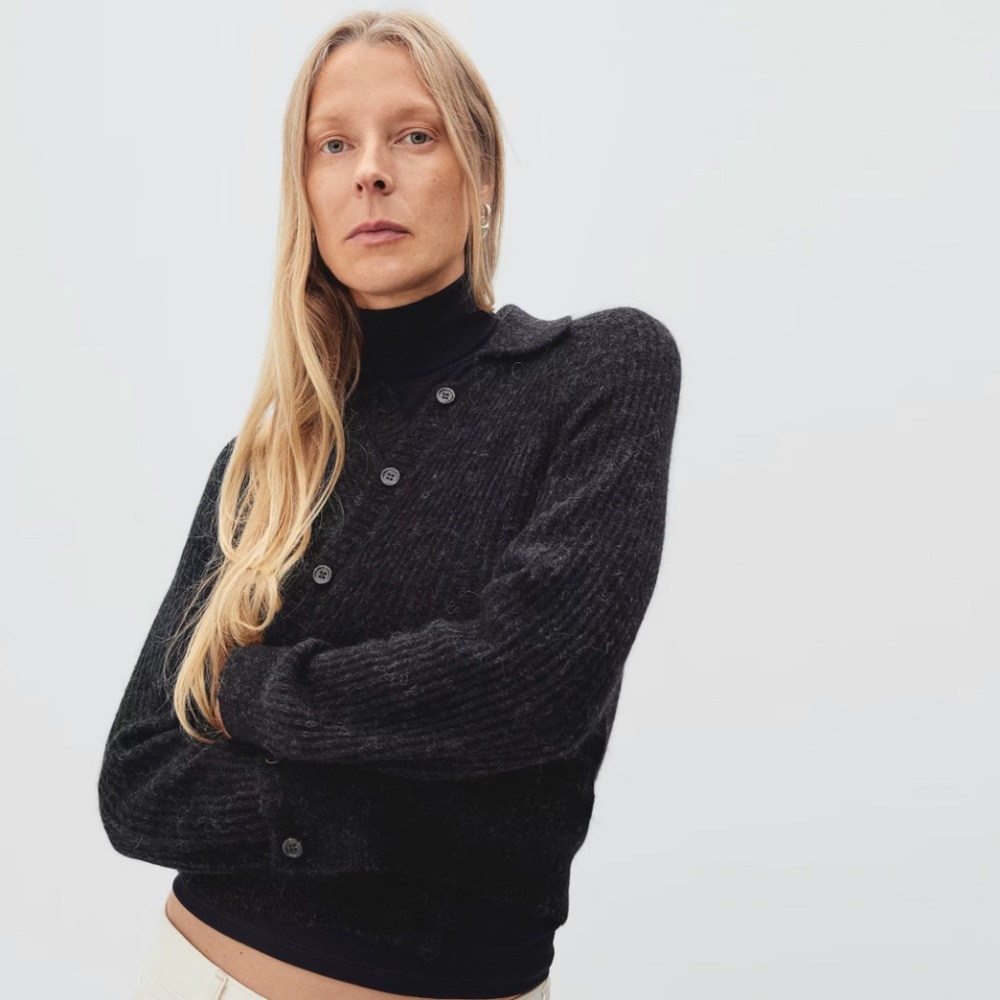 Everlane The Alpaca Collared Cardigan